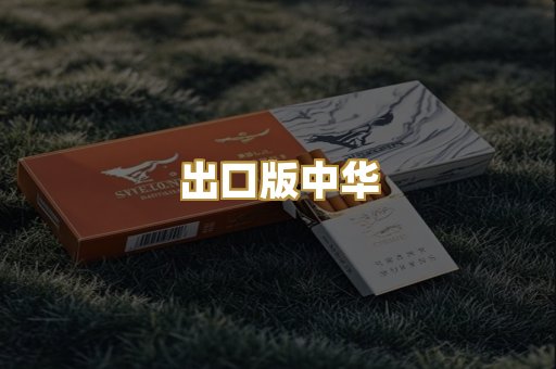 出口版中华